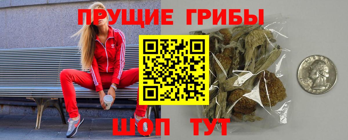 Дзержинск  Псилоцибиновые грибы Psilocybe  Вход с VPN 